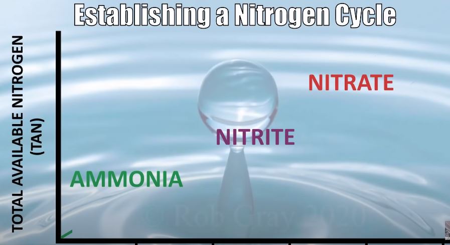 Ammonia Nitrate Cycle