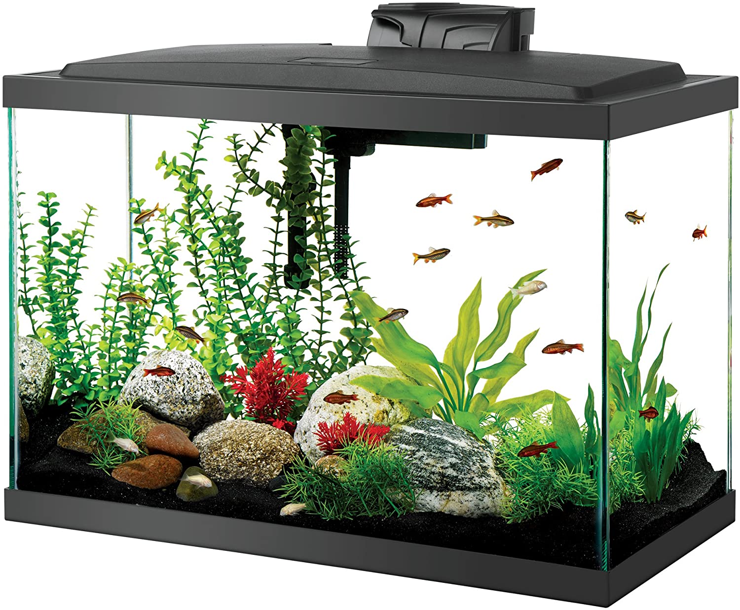 Fish Tank 20 Gallon Aquarium kit