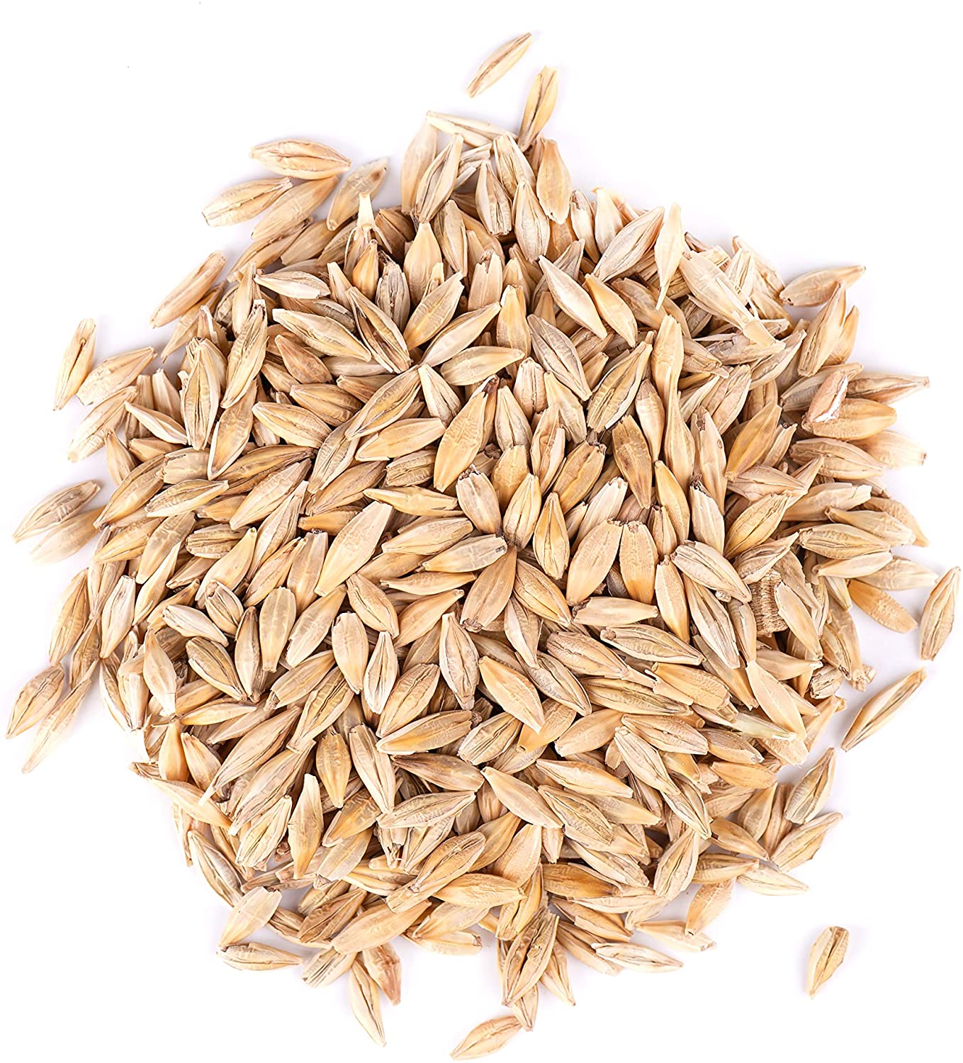 Barley seed