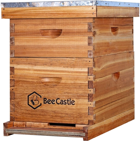 Beehive Kit 10 Frame