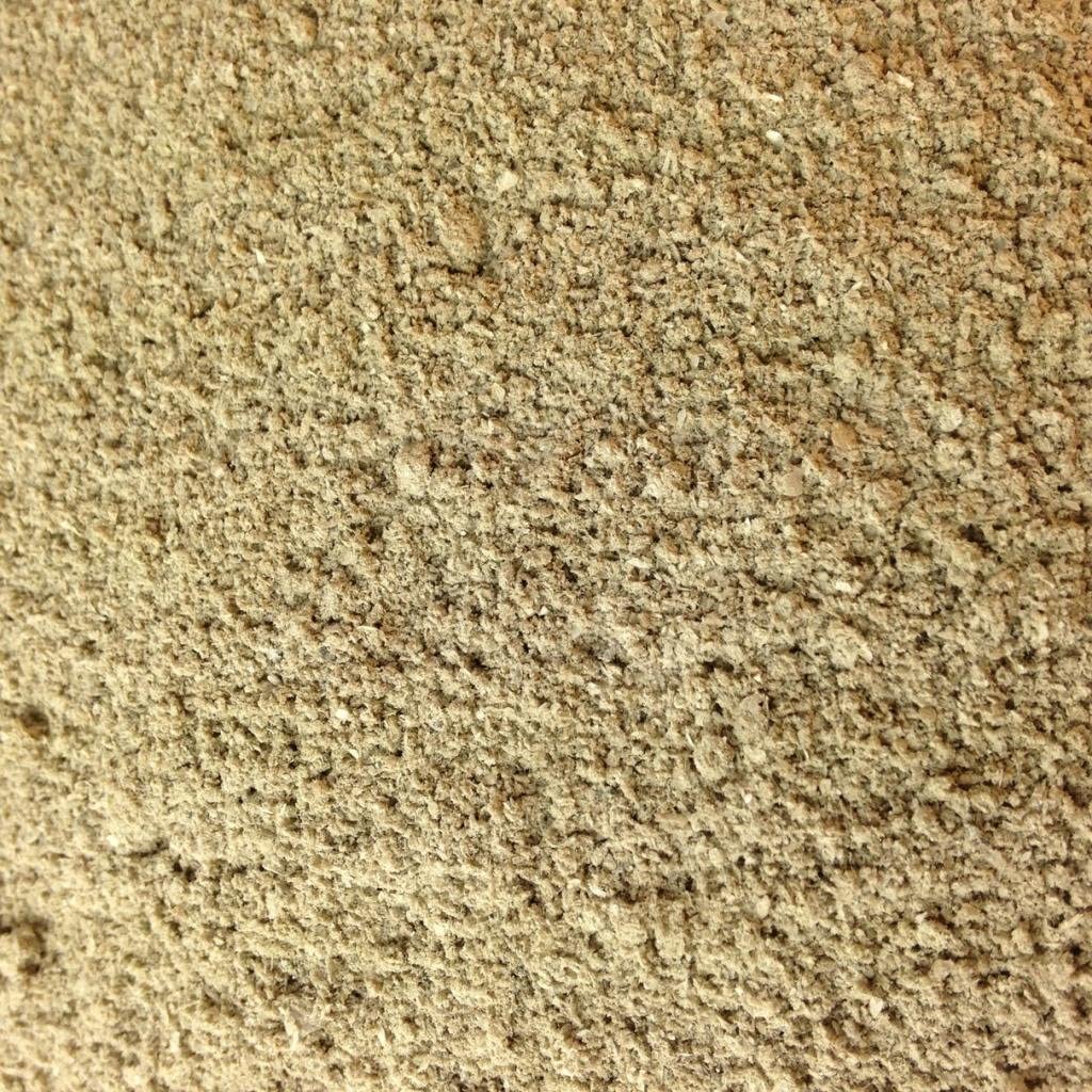 Coastal Shell Flour