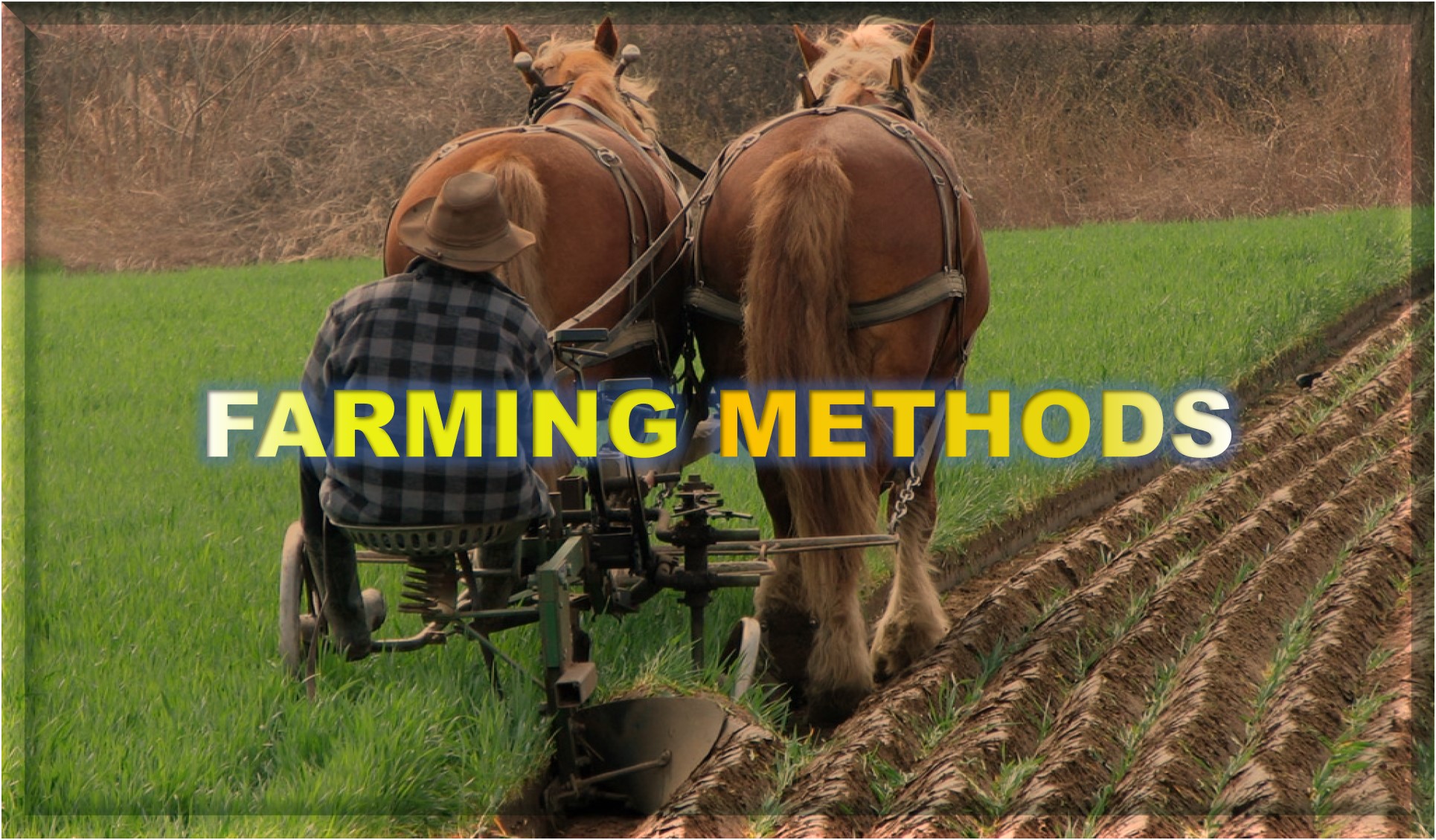 Farming Methods