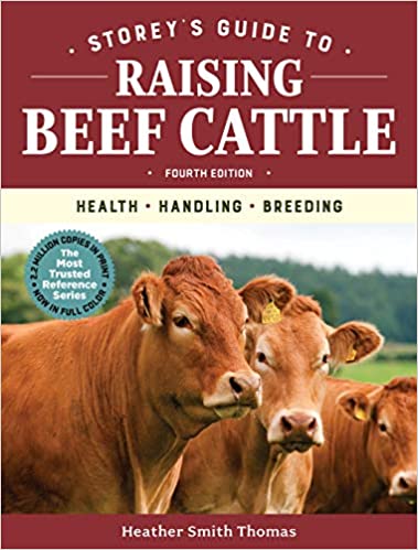 Guide to Raising Beef Cattle