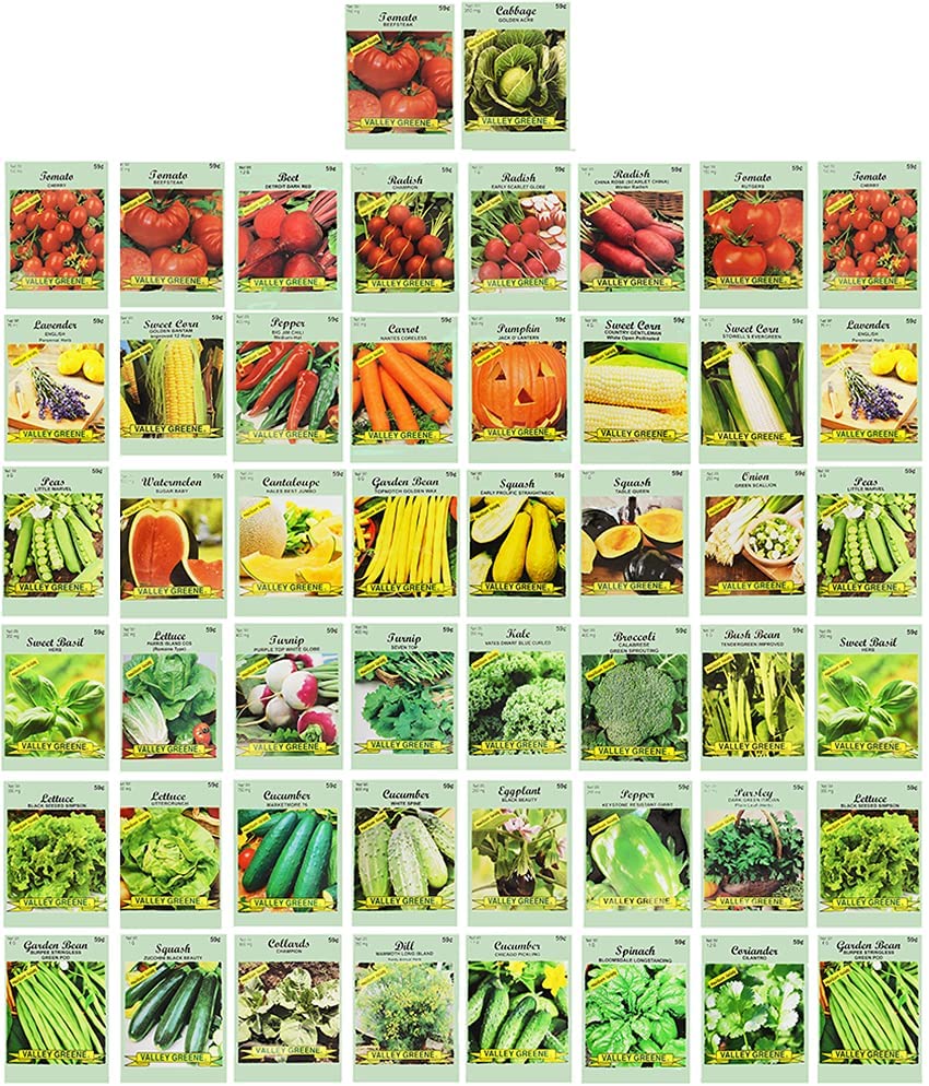 Heirloom Vegetable 20 varieties