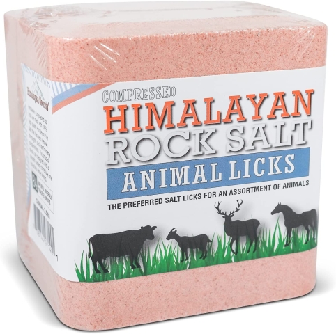 Himalayan Pink Salt Block