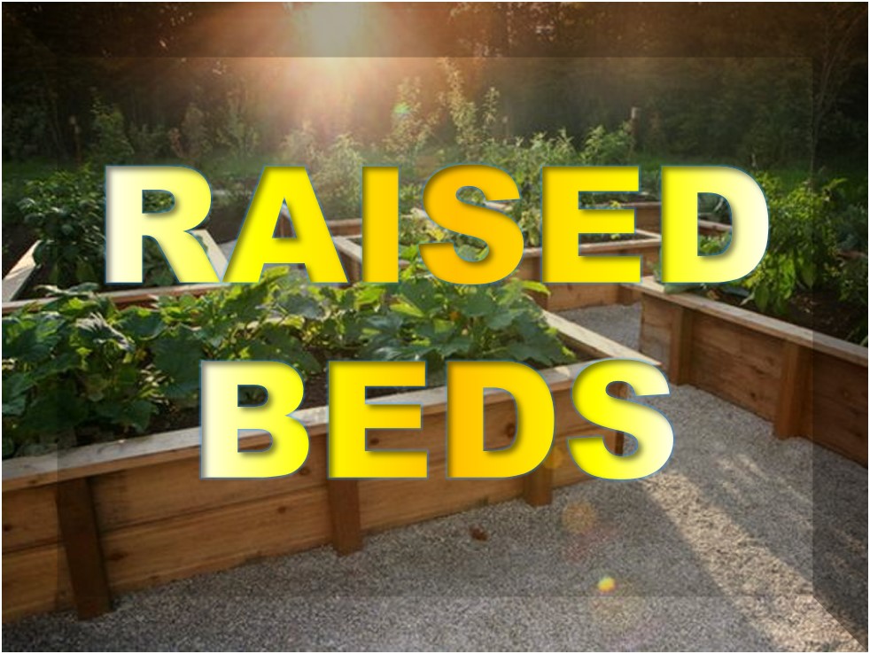 Raised Beds