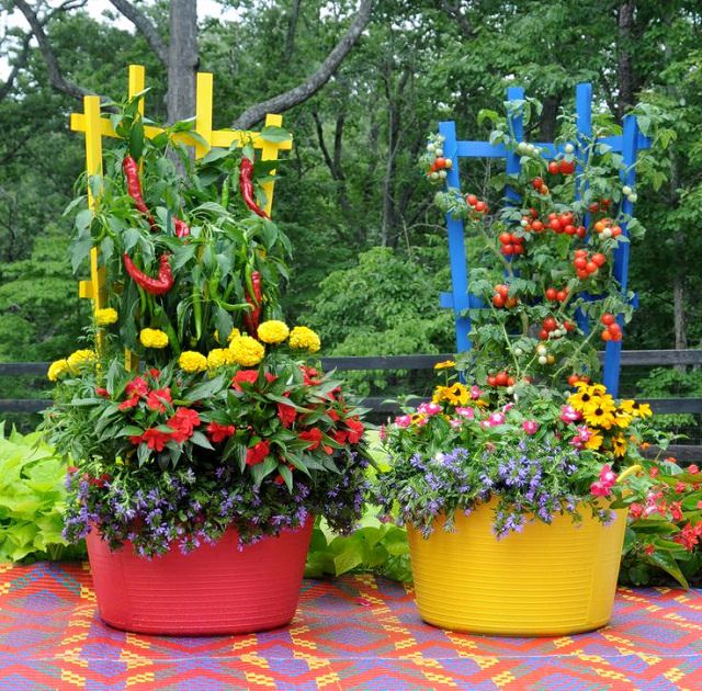 container garden ideas