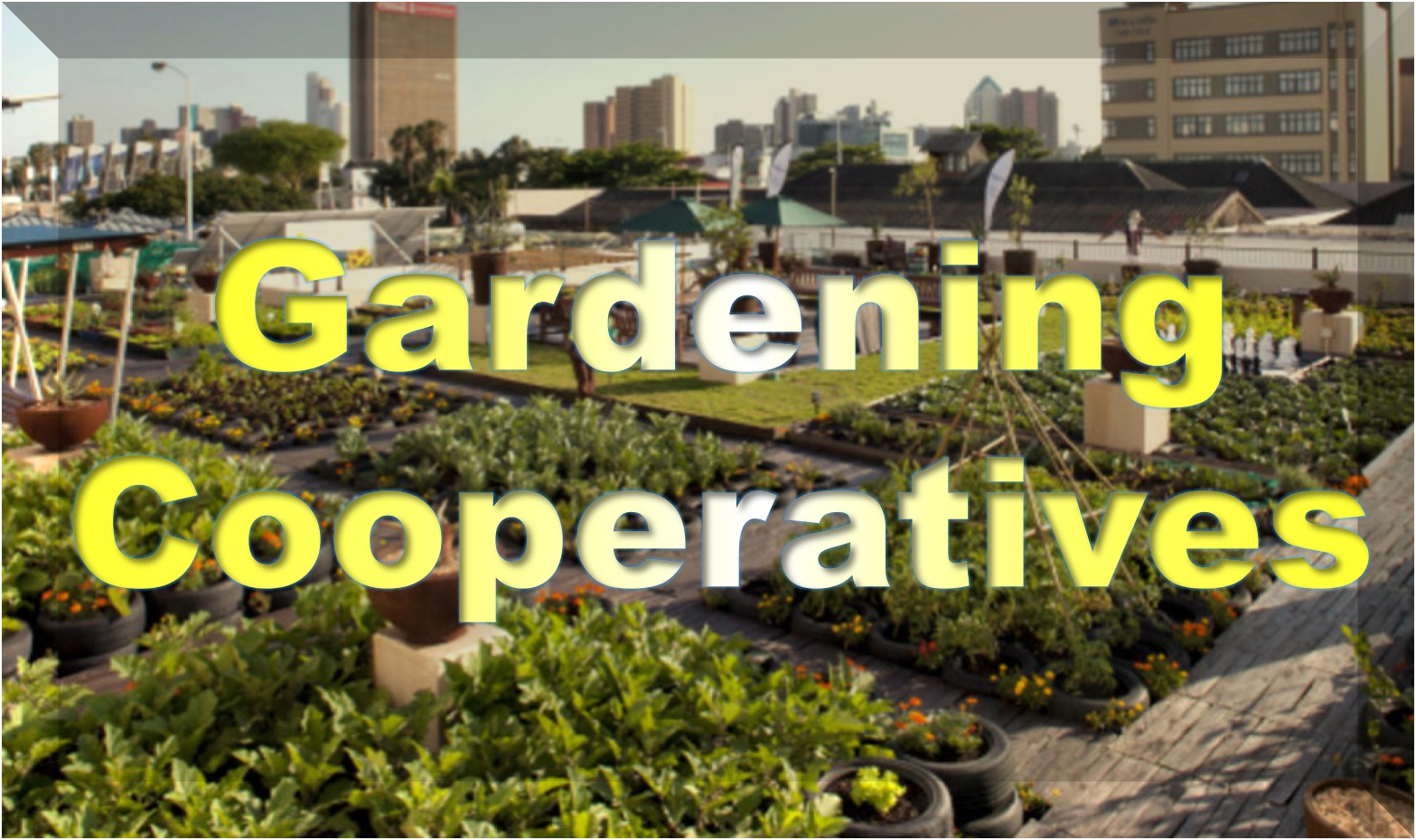 gardening cooperatives