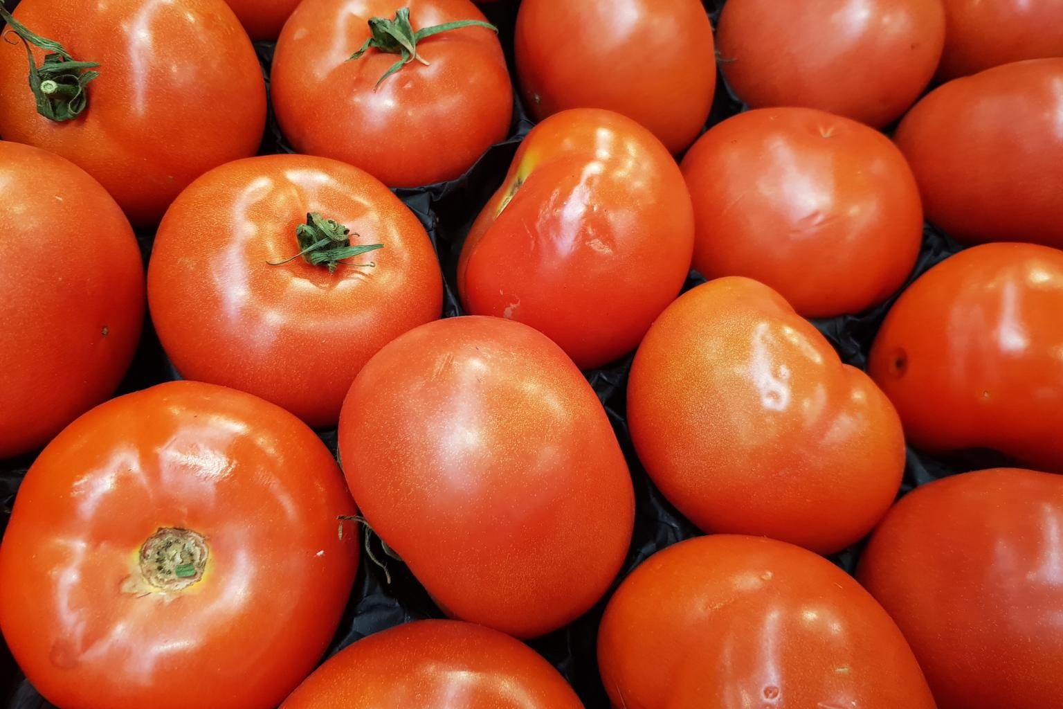 Conventionally Grown Tomatoes